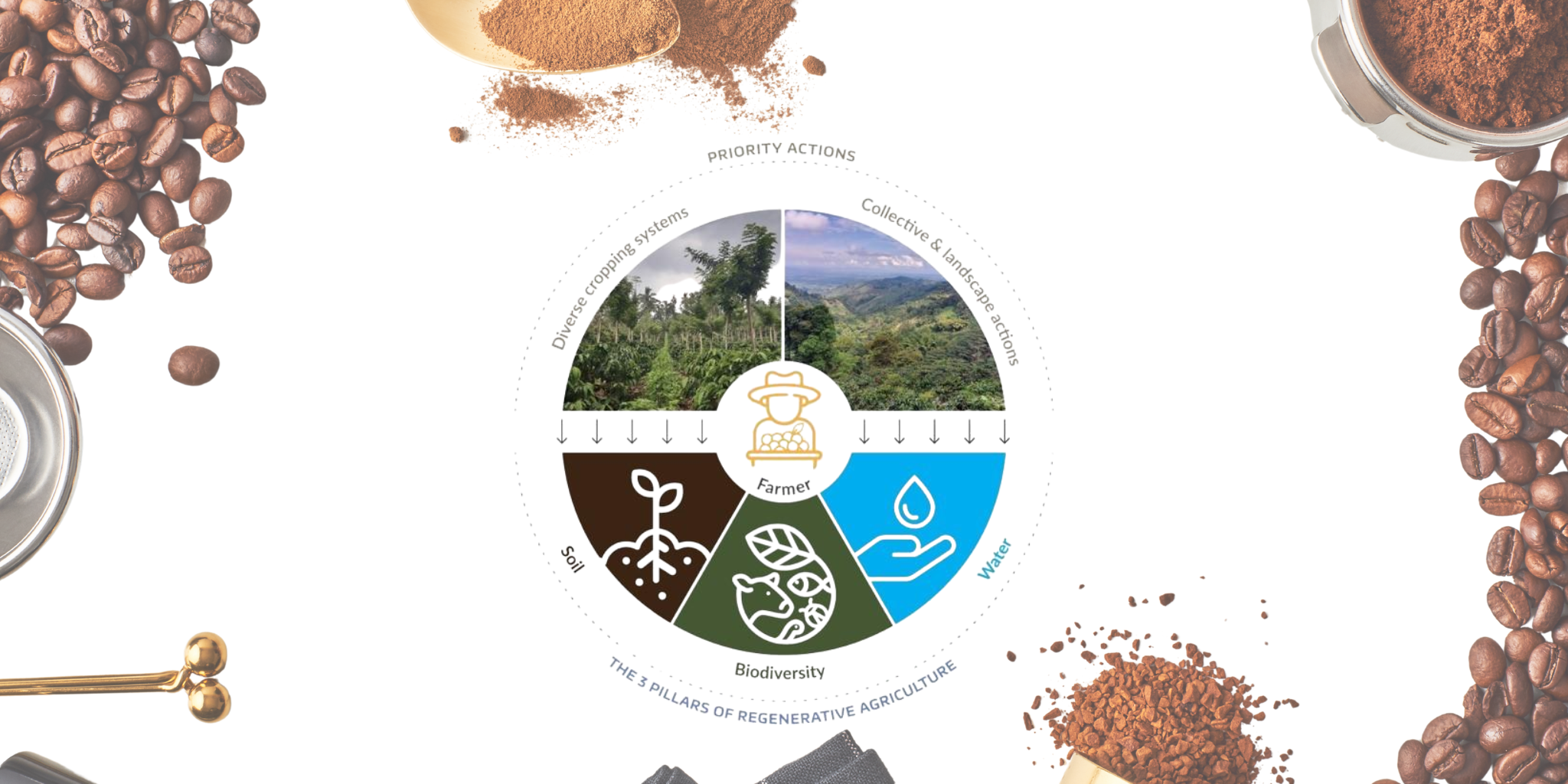 The Future of Coffee Farming: What Regenerative Agriculture Means for Your Cup