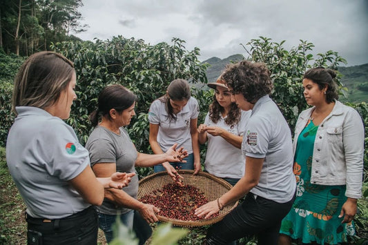 Women in Coffee: Stories of Empowerment and Success