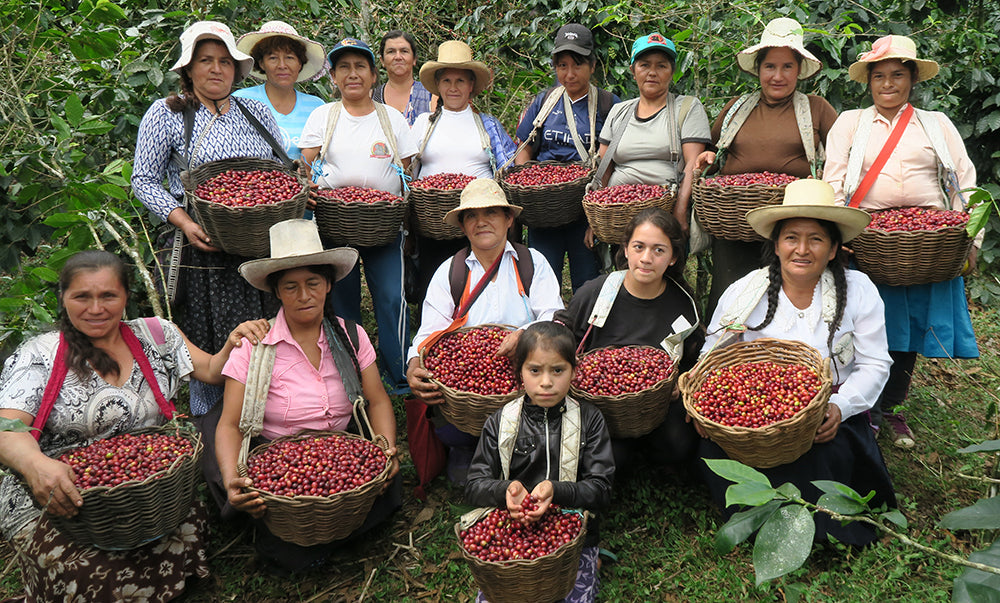 A Day in the Life of a Woman Coffee Farmer